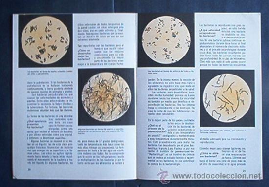 Libros de segunda mano de ciencias: EL MICROSCOPIO - COMO Y POR QUE - Foto 8