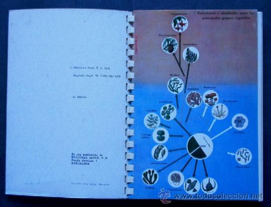 Libros de segunda mano: ATLAS DE BOTANICA - Foto 3