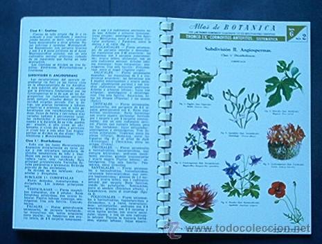 Libros de segunda mano: ATLAS DE BOTANICA - Foto 5