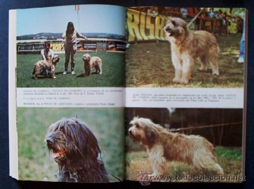 Libros de segunda mano: EL GOS DATURA - PERRO PASTOR CATALAN - Foto 5