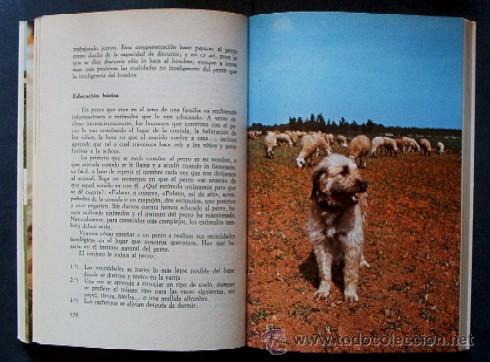 Libros de segunda mano: EL GOS DATURA - PERRO PASTOR CATALAN - Foto 8
