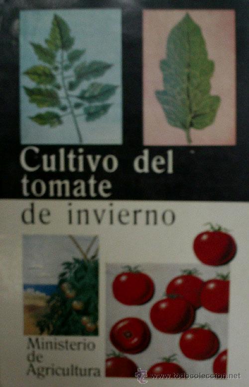Libros de segunda mano: CULTIVO DEL TOMATE DE INVIERNO. GARCIA MORATO Miguel. 1969