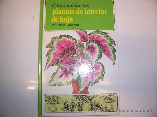 Libros de segunda mano: PLANTAS DE INTERIOR DE HOJA : SU CUIDADO - DAVID LONGMAN - 1983 - ILUSTRADO - Foto 1