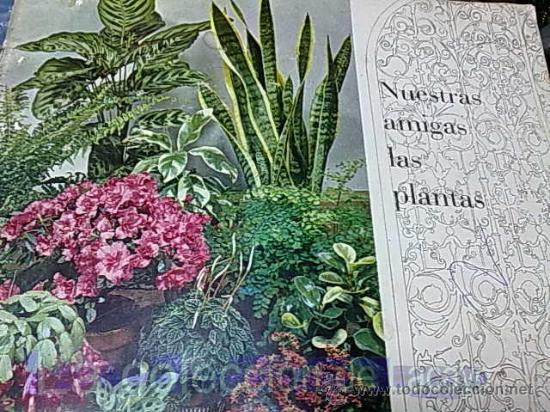 Libros de segunda mano: NUESTRAS AMIGAS LAS PLANTAS - Foto 1