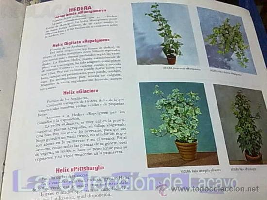 Libros de segunda mano: NUESTRAS AMIGAS LAS PLANTAS - Foto 2