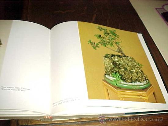 Libros de segunda mano: BONSAI ARTE JAPONES. FAUST VERGES. 2&ordf; EDICION. * - Foto 2