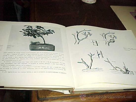 Libros de segunda mano: BONSAI ARTE JAPONES. FAUST VERGES. 2&ordf; EDICION. * - Foto 3
