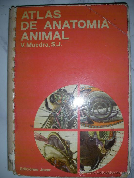 Libros de segunda mano: ATLAS DE ANATOMIA ANIMAL - Foto 1