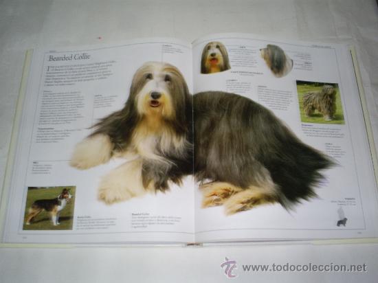 Libros de segunda mano: El gran libro del Perro DAVID TAYLOR RM49531 - Foto 2