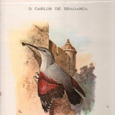Libros de segunda mano: AVES DE PORTUGAL POR D. CARLOS DE BRAGANÇA - LISBOA 1985