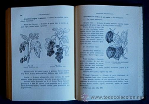 Libros de segunda mano: ARBORICULTURA FRUTAL - Foto 5