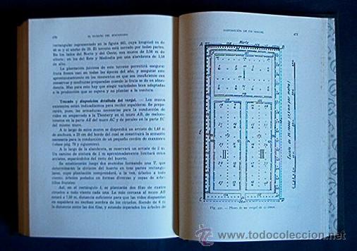 Libros de segunda mano: ARBORICULTURA FRUTAL - Foto 6