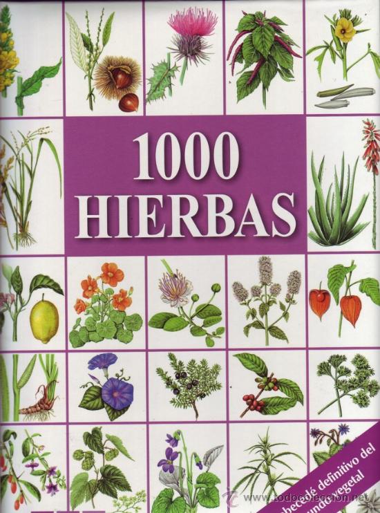 Libros de segunda mano: 1000 PLANTAS Y HIERBAS MEDICINALES. Hans W. Kothe. - Foto 1