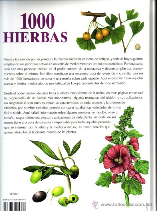 Libros de segunda mano: Dorso - Foto 2