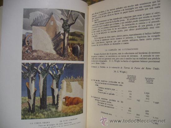 Libros de segunda mano: &rdquo;LA AGRICULTURA INGLESA&rdquo; DE SIR E. JOHN RUSSELL. - Foto 2