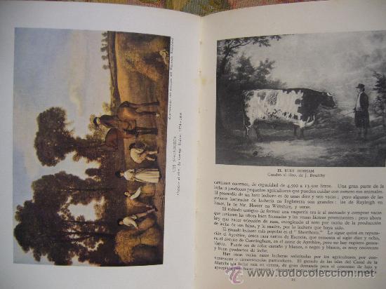 Libros de segunda mano: &rdquo;LA AGRICULTURA INGLESA&rdquo; DE SIR E. JOHN RUSSELL. - Foto 5