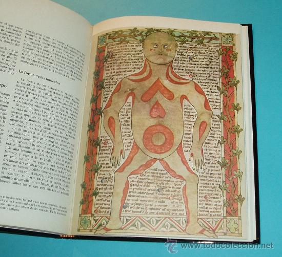 Libros de segunda mano: LA VIDA Y EL HOMBRE. BIBLIOTECA TEM&Aacute;TICA MONTANER Y SIM&Oacute;N. - Foto 2