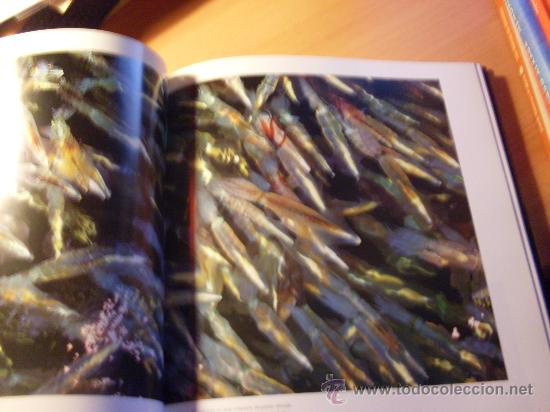 Libros de segunda mano: EL MUNDO DE LOS OCEANOS . COMPLETA EN 2 TOMOS ( JACQUES COUSTEAU ) - Foto 2