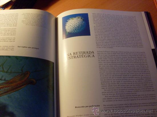 Libros de segunda mano: EL MUNDO DE LOS OCEANOS . COMPLETA EN 2 TOMOS ( JACQUES COUSTEAU ) - Foto 3
