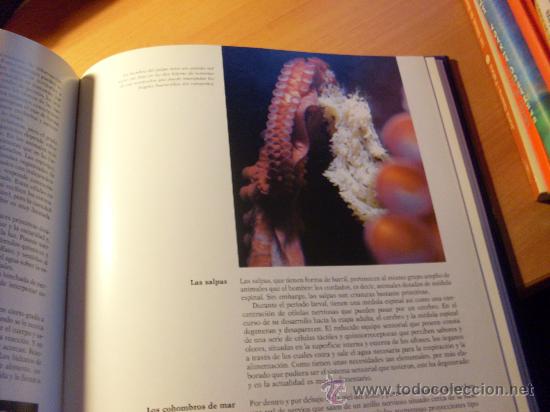 Libros de segunda mano: EL MUNDO DE LOS OCEANOS . COMPLETA EN 2 TOMOS ( JACQUES COUSTEAU ) - Foto 4