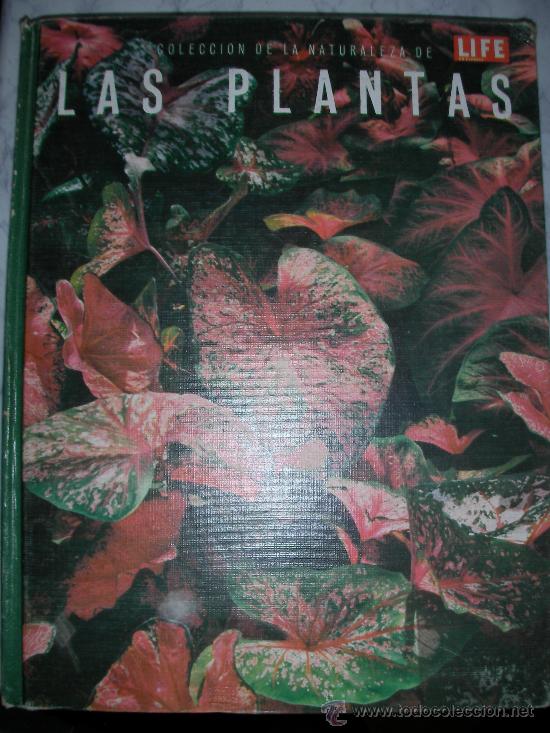 Gebrauchte B&uuml;cher: COLECCION DE LA NATURALEZA LIFE DE LAS PLANTAS