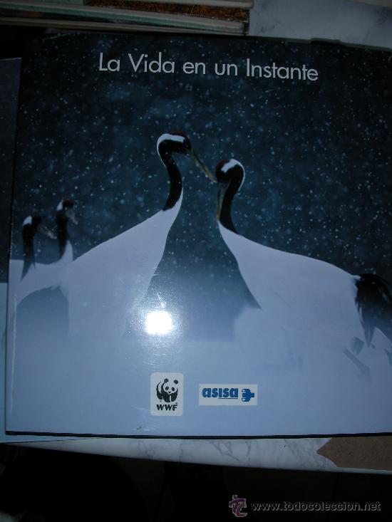Libros de segunda mano: LA VIDA EN UN INSTANTE - Foto 1