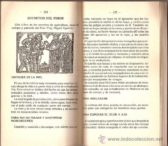Libros de segunda mano: HIERBAS MEDICINALES Y REMEDIOS CASEROS/  LLUIS RIPOLL / 1985 - Foto 2