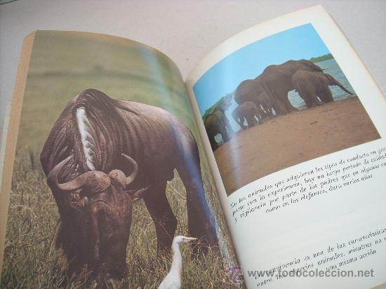 Libros de segunda mano: LA CONDUCTA DE LOS ANIMALES. J.D. CARTHY. SALVAT. - Foto 2