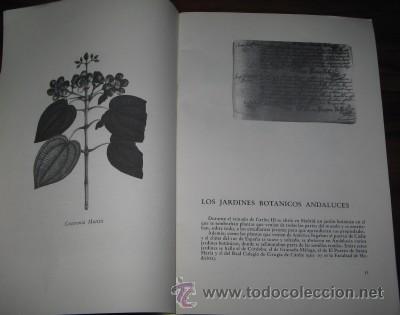 Libros de segunda mano: EL BOT&Aacute;NICO ANDALUZ, JOS&Eacute; CELESTINO MUTIS, DE 1982 - Foto 2