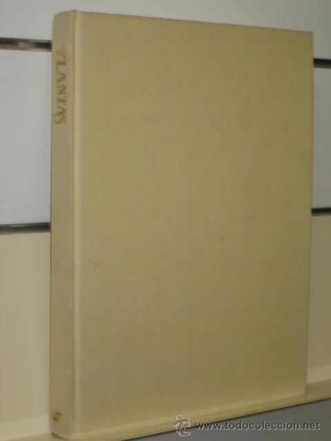 Libros de segunda mano: PLANTAS - SUSAETA 1990 - Foto 1