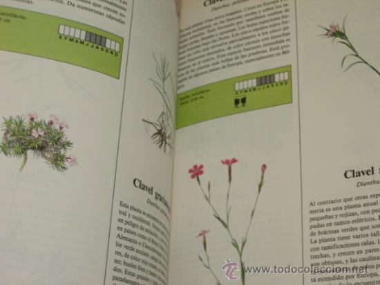 Libros de segunda mano: PLANTAS - SUSAETA 1990 - Foto 3