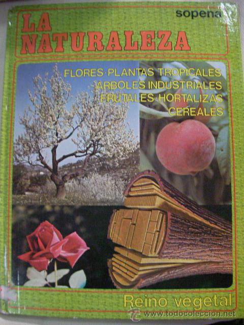 Gebrauchte B&uuml;cher: ANTIGUO VOLUMEN LA NATURALEZA - REINO VEGETAL