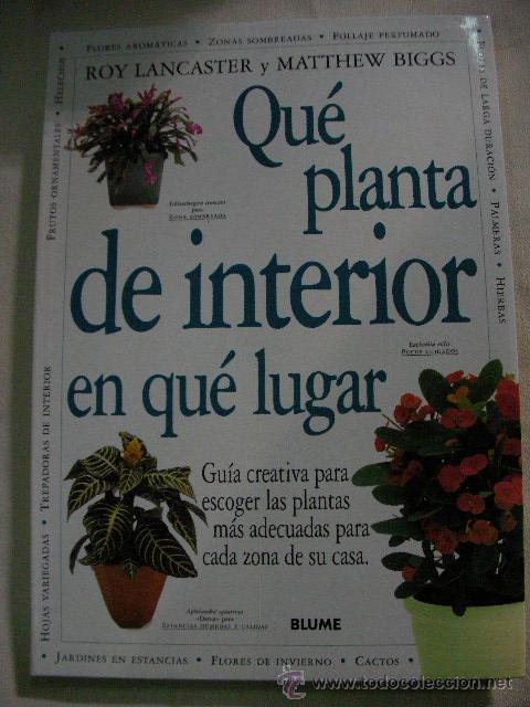 Libros de segunda mano: QUE PLANTA DE INTERIOR, EN QUE LUGAR DE ROY LANCASTER Y MATTHEW BIGGS - Foto 1