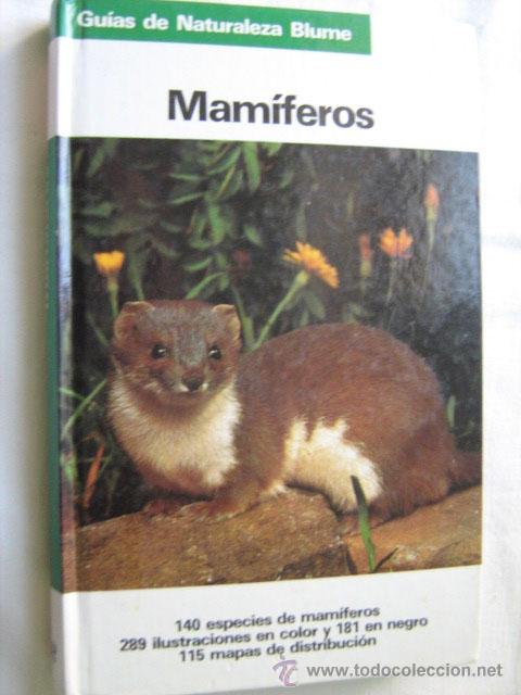 Libros de segunda mano: MAM&Iacute;FEROS . REICHHOLF, Josef 1984. Blume - Foto 1