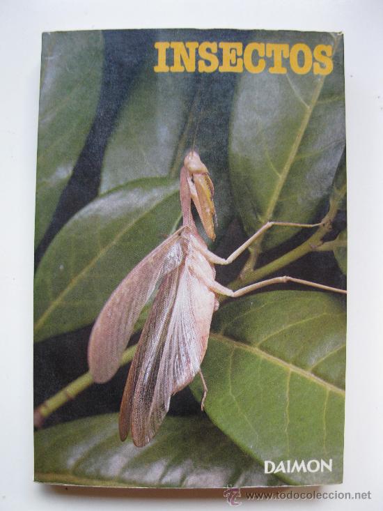 Libros de segunda mano: INSECTOS Y AR&Aacute;CNIDOS - DR. MAURICE BURTON - EDICIONES DAIMON - A&Ntilde;O 1973. - Foto 1