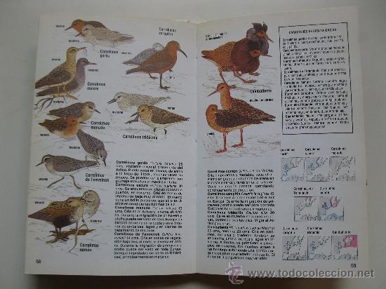 Libros de segunda mano: LAS AVES - NEIL ARDLEY - EDITORIAL FONTALBA - A&Ntilde;O 1979. - Foto 2