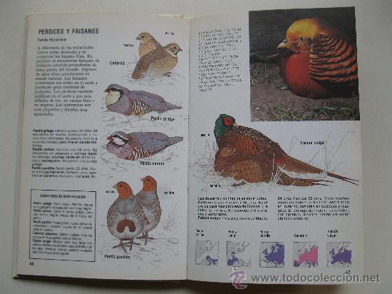 Libros de segunda mano: LAS AVES - NEIL ARDLEY - EDITORIAL FONTALBA - A&Ntilde;O 1979. - Foto 3