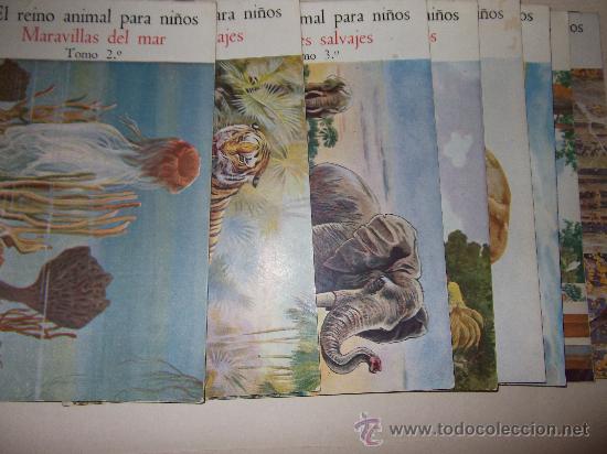 Libros de segunda mano: EL REINO ANIMAL PARA NI&Ntilde;OS - Foto 1