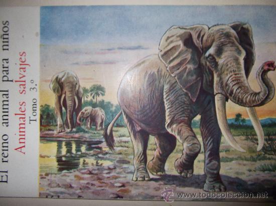 Libros de segunda mano: EL REINO ANIMAL PARA NI&Ntilde;OS - Foto 7