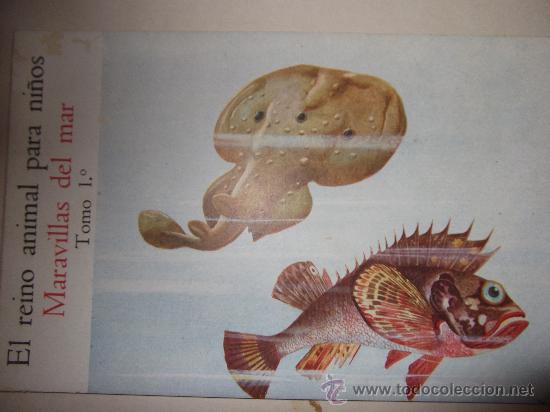 Libros de segunda mano: EL REINO ANIMAL PARA NI&Ntilde;OS - Foto 5