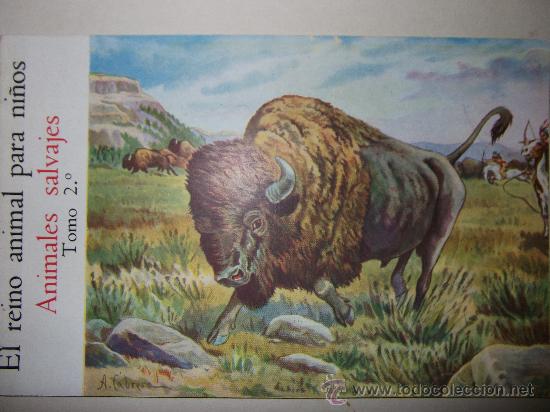 Libros de segunda mano: EL REINO ANIMAL PARA NI&Ntilde;OS - Foto 4