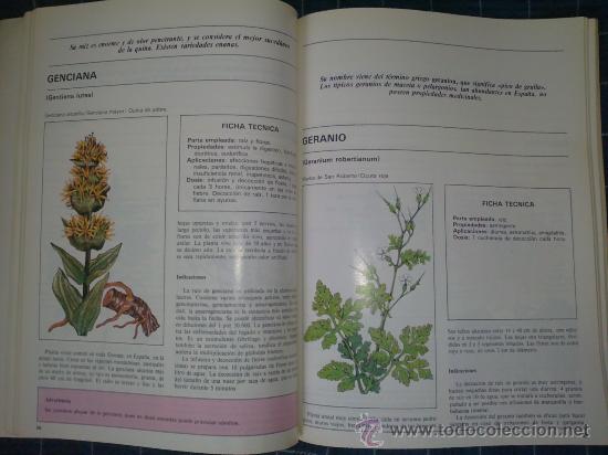 Libros de segunda mano: PLANTAS PARA LA SALUD - C. FABRETTI - Foto 2