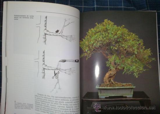 Libros de segunda mano: LOS BONS&Aacute;IS PARA INTERIORES - GIOVANNI GENOTTI - Foto 3