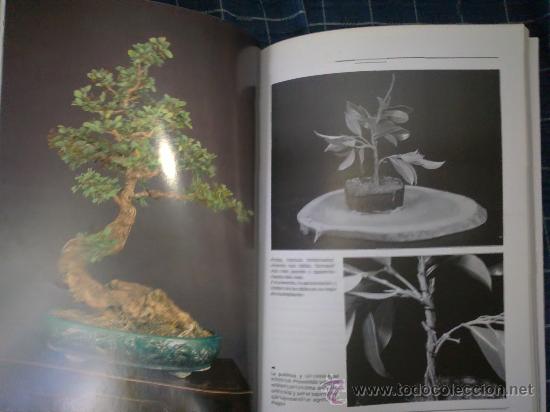 Libros de segunda mano: LOS BONS&Aacute;IS PARA INTERIORES - GIOVANNI GENOTTI - Foto 4