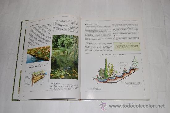 Libros de segunda mano: Jardines Acu&aacute;ticos.  PIERRE NESSMANN  RM55408 - Foto 2