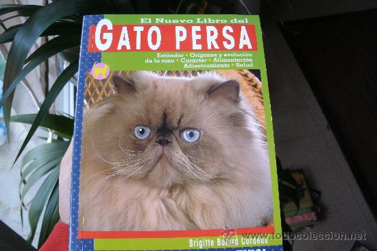 Libros de segunda mano: EL NUEVO LIBRO DEL GATO PERSA / EDITORIAL TIKAL - Foto 1