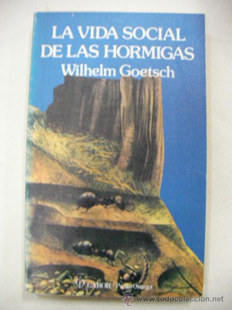 Libros de segunda mano: LA VIDA SOCIAL DE LAS HORMIGAS - Foto 1