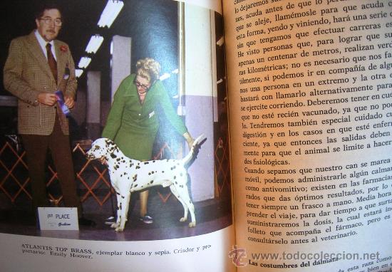 Libros de segunda mano: EL DALMATA. SALVADOR GOMEZ-TOLDRA. 1976. - Foto 8