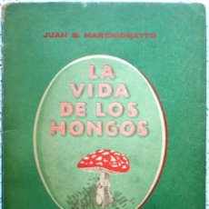 Libros de segunda mano: LA VIDA DE LOS HONGOS. SETAS. MICOLOGÍA.