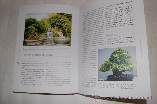 Libros de segunda mano: Cuidados del Bonsai. JORGE KINJO  RM56072 - Foto 2